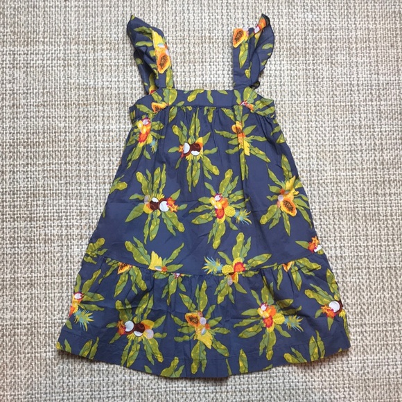Patagonia Organic Dress (size 3T)